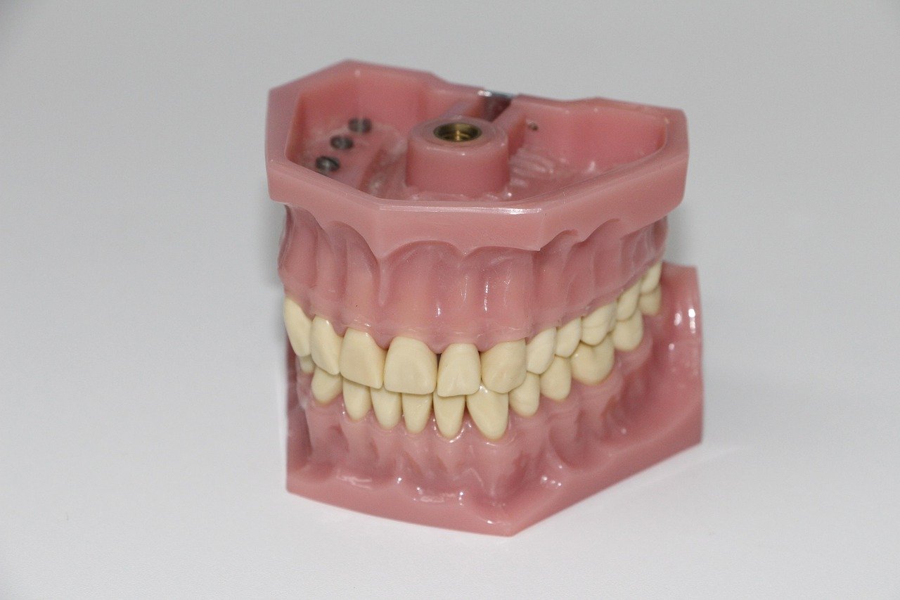 dental prosthesis, artificial teeth, dentition, dentist, dental instruments, dental equipment, dental office, dental doctor, repair teeth, meshing, tooth grinding instruments, tooth drill attachment, teeth cleaning, tooth repairs, treat teeth, brush teeth, check teeth, dental prosthesis, artificial teeth, artificial teeth, dentist, dentist, dentist, dentist, dentist, teeth cleaning, teeth cleaning, teeth cleaning